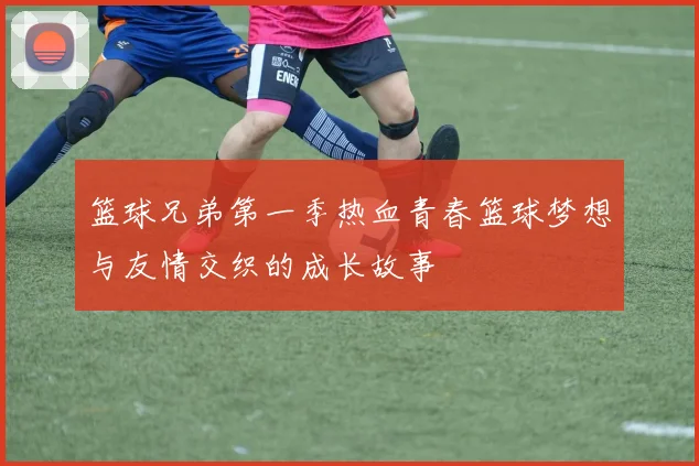 篮球兄弟第一季热血青春篮球梦想与友情交织的成长故事