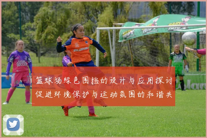 篮球场绿色围挡的设计与应用探讨促进环境保护与运动氛围的和谐共生