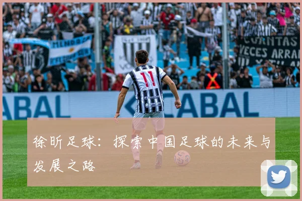 徐昕足球：探索中国足球的未来与发展之路