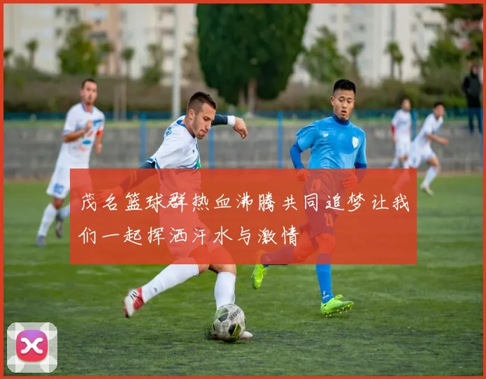 茂名篮球群热血沸腾共同追梦让我们一起挥洒汗水与激情