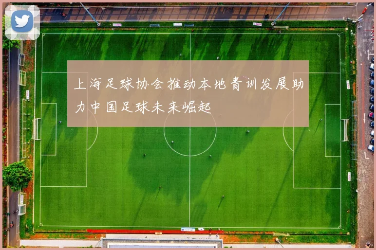 上海足球协会推动本地青训发展助力中国足球未来崛起