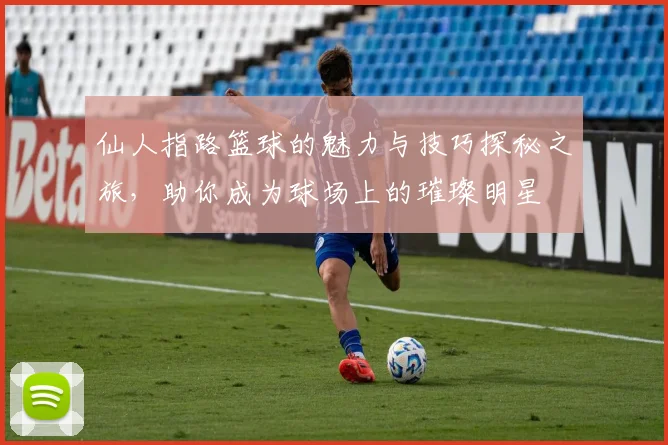 仙人指路篮球的魅力与技巧探秘之旅，助你成为球场上的璀璨明星