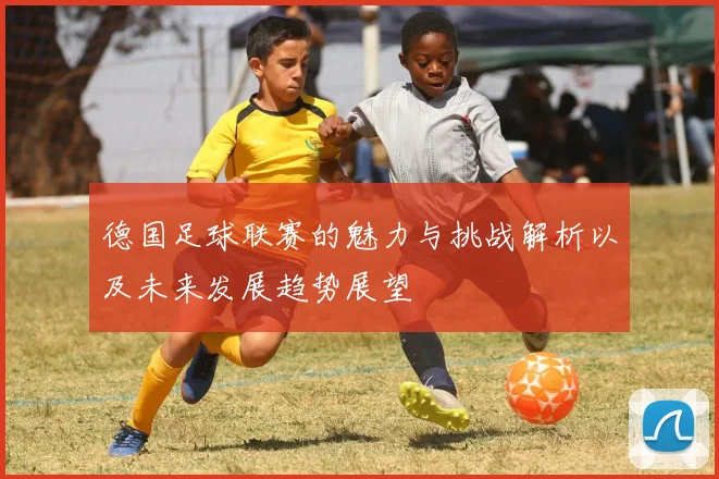 德国足球联赛的魅力与挑战解析以及未来发展趋势展望