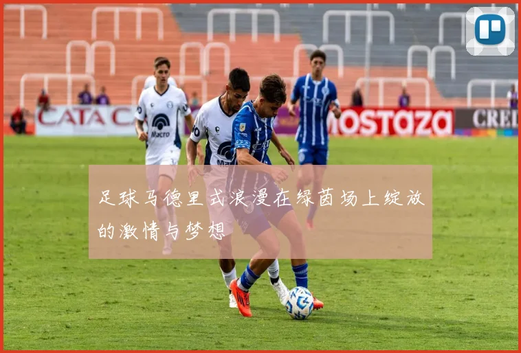 足球马德里式浪漫在绿茵场上绽放的激情与梦想
